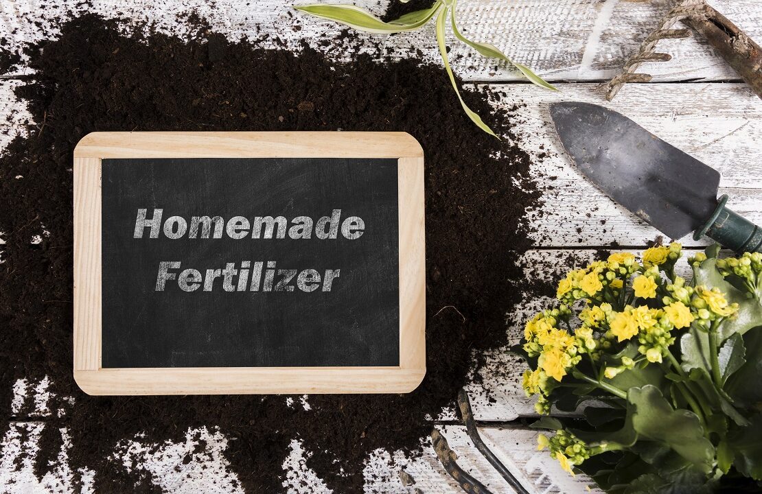 Home Fertilizer