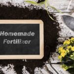 Home Fertilizer