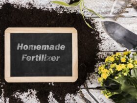 Home Fertilizer