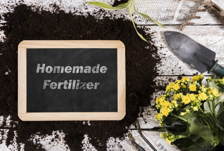 Home Fertilizer