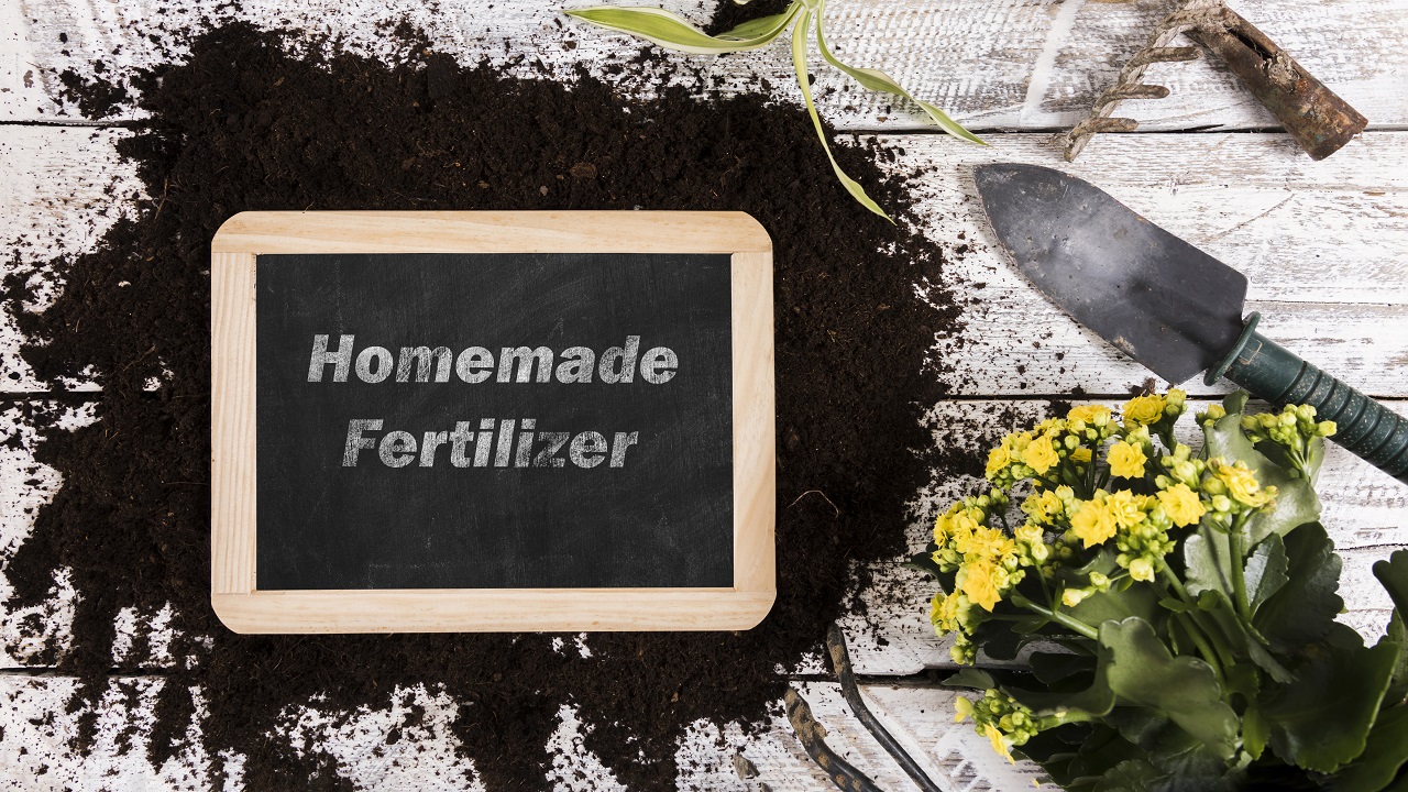 Home Fertilizer