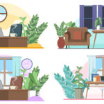 Office plant ideas