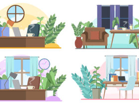 Office plant ideas