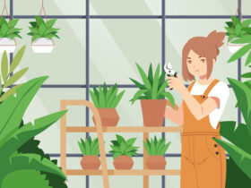 Indoor Garden