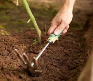 Weeding Hoe: