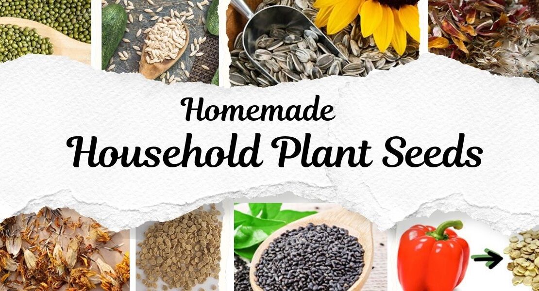 Homemade Household Plant Seeds
